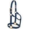 Weaver Leather Original Non-Adjustable Nylon Horse Halter, Average, Navy