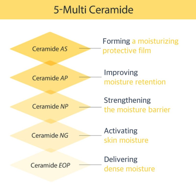 CeraBarrier Moisture Active Skincare Line (Toner)