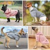 BEAUTYZOO Small Dog Hoodie Sweater with Pockets, Dog Clothes for