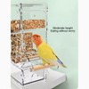 Automatic Parrot Feeder Prevent Spillage and Splashing Easy Installation Acrylic