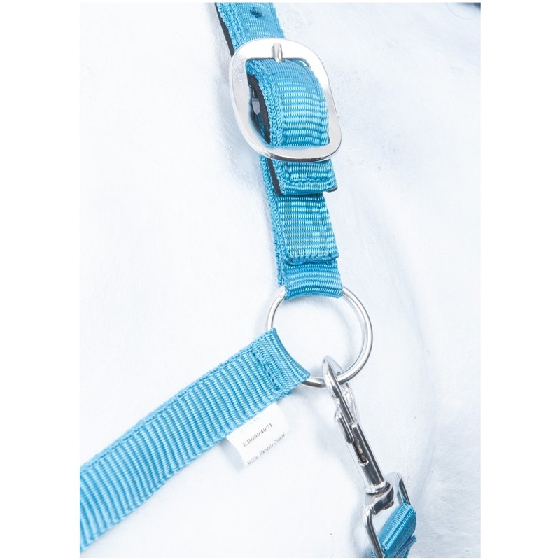 HKM by Reiterladen24 Basicline Lined Headcollar Turquoise / Aqua Shetty