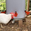 DoubleWood 36Pack Fully Automatic Poultry Drinking Machine Chicken Drinking Cup,
