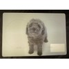 Poodle Food and Water Placemat for Your Dog with 3d