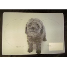Poodle Food and Water Placemat for Your Dog with 3d Image