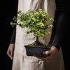 lepni.me Organic Eco-Friendly Cotton Chefs Apron | Cooking Baking Grilling