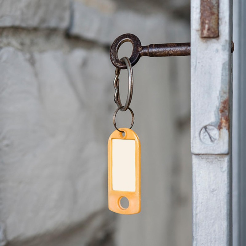 6 Pieces Mini Padlocks with 6 Pieces Coloured Key Plate,