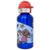 Bing Aluminium Water Bottle, Drinks Bottle with Spout and Lid