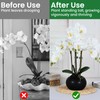 50pcs Plastic Clips Reusable Holder for Stems Support Clip