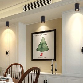 TWSXTE Ceiling Light 7 W LED Ceiling Light COB Lamp 3000 K Warm White 360° Rotatable for Bedroom Hall Kitchen Corridor Hotel Shopping Mall (Warm White 3000K)