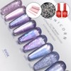 Divock Divok Unicorn Glitter Magnetic Gel 10-piece set + 2