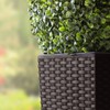 Prosper Plast Dark Brown Planter - 17cm x 17cm x32cm