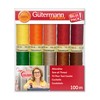 Gutermann 734008-1 Thread Set Sew-All 100 m x 10 reels,