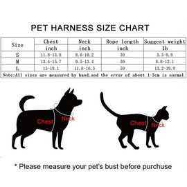 Puppy Harness,Cat Harness and Lead Set,No Pull Dog Cat Harness,Soft Mesh Breathable Reflective Puppy Cat Dog Vest Harnesses for Small Dogs Cats (Lake Blue, Medium)