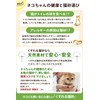 Iwakuni Recycled Energy, Cat Litter, Wood Pellet, 0.3 g, 1.8