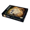 Lion - King of The Jungle 504 Piece Jigsaw Puzzle