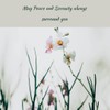 Greenwood Essential Pure Fenugreek (Methi) Essential Oil (Trigonella foenumgraecum) Steam