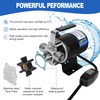 FLOWPAC Water Transfer Pump 110V With Convenient Switch,1/10 HP 330