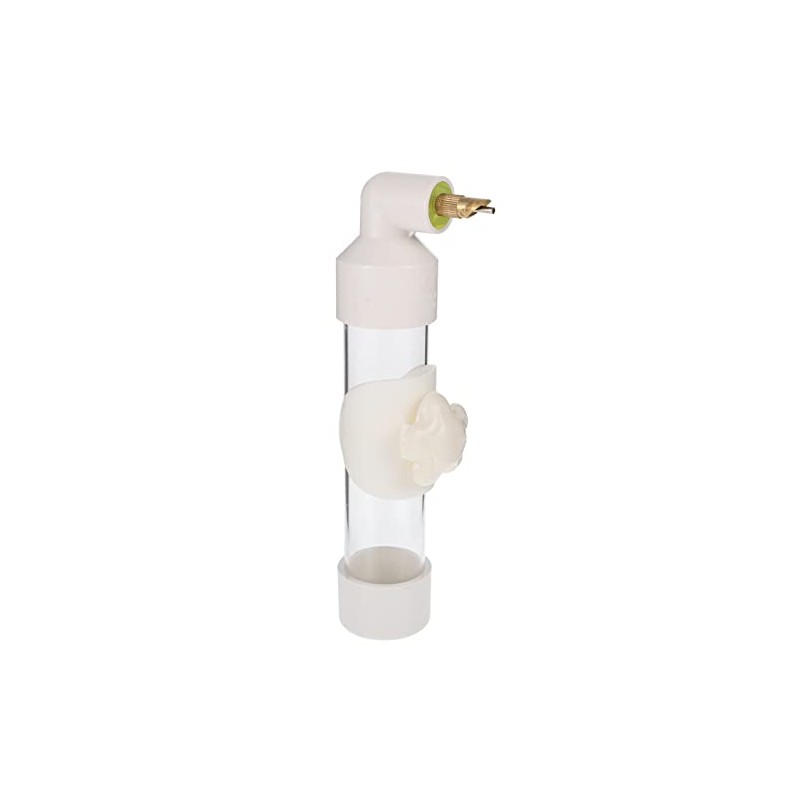 Bebedero Automático para Pájaros Comedero De Agua para Loros Dispensador