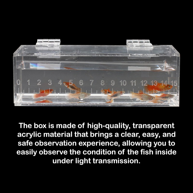 Fish Viewing Box Container with Lid and Scale, Acrylic Portable