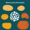 UpNourish Akkermansia Muciniphila 5 Billion TFU for Digestive Metabolic Health