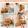 SQEQE Weighted Capybara Plush, Weighted Capybara Stuffed Animal for Anxiety,