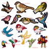 15 Pcs Birds Embroidered Patches for Clothing Hummingbird Iron On