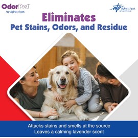 OdorPet Pet Stain Remover and Odor Eliminator - 64 Oz (Makes 2.55 Gallons of Working Solution) Non Staining, Professional Strength, Lavender Scent by Alpha Tech Pet