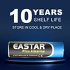 EASTAR BTS AAA Batteries 10-Pack, High Performance 1.5V LR03 Alkaline
