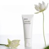 ROVECTIN Clean Lotus Water Cream 60ml