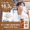 NORM Soy Protein, Salt Caramel Flavor, 21.2 oz (600 g),