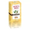 Burts Bees 버츠비 BB크림 SPF15 라이트 55g Burt's Bees BB