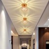 Mini Crystal Chandelier Flush Mount Crystal Ceiling Lighting Iron Cage