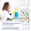 HIQILI 100ML Citronella Oil for Homemade Sprays, Add to Diffuser,