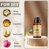Thyme Essential Oils 10ML, 100% Pure and Natural Thyme Essential
