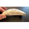 NEW !! Scrimshaw whale tooth resin REPLICA "NANTUCKET WIVES" 6"