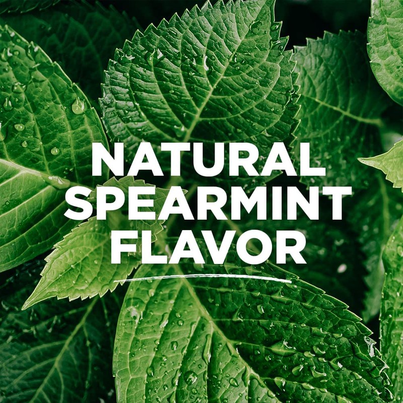 Tom's of Maine Anti Plaque Flat Spearmint Floss, Pack of