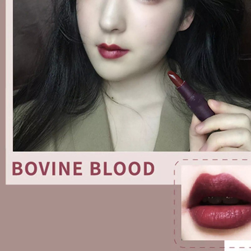 Mizetli Lápices Labiales Pintalabios Mate Lip Gloss Maquillaje 5pzs