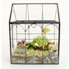 ELEGANTLIFE Glass Geometric Plant Terrarium,Succulent & Air Planter for Home