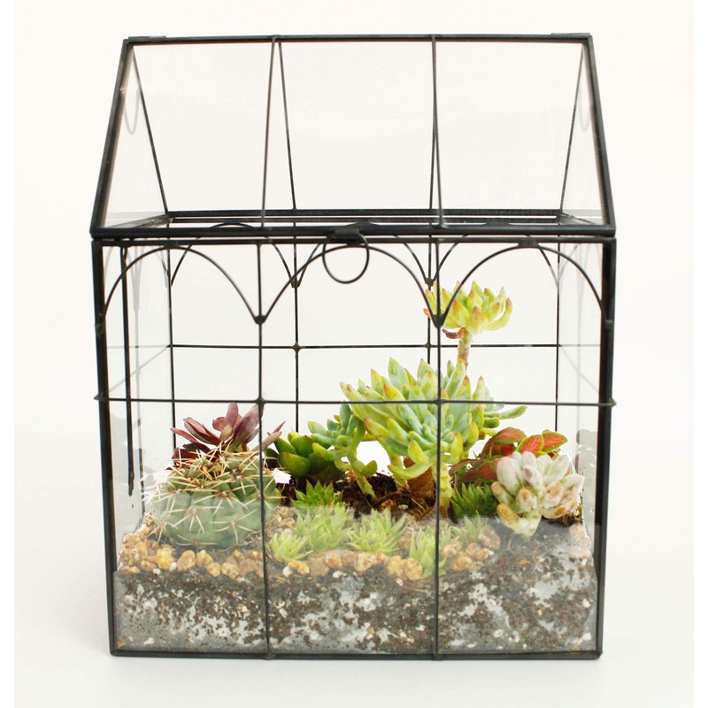 ELEGANTLIFE Glass Geometric Plant Terrarium,Succulent & Air Planter for Home