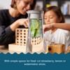 Hydros Aqua Fruit Infuser Insert for All Hydros Water Bottles,