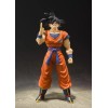 Bandai Son Goku {A Saiyan Raised On Earth Ver.} [Dragon