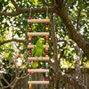 2 Pcs Bird Ladder Set, Bird Cage Ladder for Cage