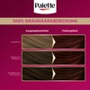 Palette Intensive Cream Colouration 4-0/800 Dark Brown (3 x 115