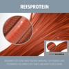 Goldwell Dualsenses Ultra Volume Bodif Ying