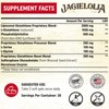 Liposomal Glutathione 2000 mg with L-Serine, L-Glycine & Sulforaphane –