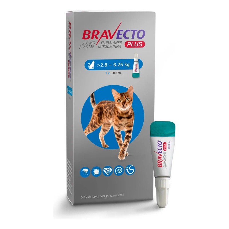 Premio P/ Gato Bra V-ec To Plus Gato M 2.9