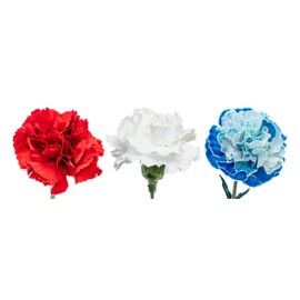 FlowerPrime 150 4th of July Red White and Blue Carnations - Special Holiday Variety Pack Fresh Natural Cut Flowers