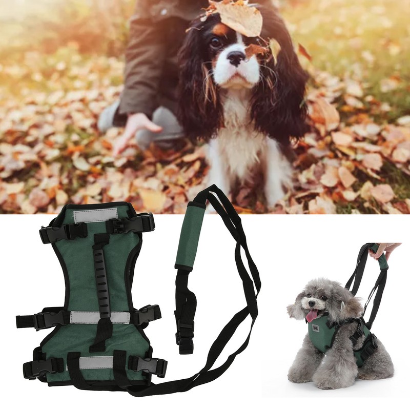 Cat Vest Harnesses Leash Adjustable Breathable Stylish Multifunctional Pet Walking