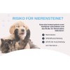 Pets Nutrition - URO Complex Feed Supplement to Support Kidney