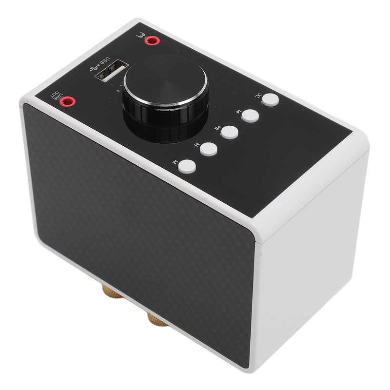 200W Bluetooth 5.0 Amplifier HIFI Stereo Sound Digital Amp Wireless